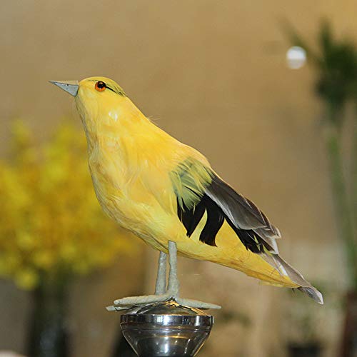 KIMISS Realistische Simulation Oriole Vogelschmuck - Handgefertigtes für Garten, Zuhause und | Lebendiges, Gefiedertes Kunstmodell von KIMISS