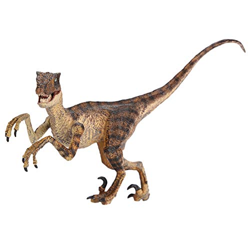 KIMISS Tierdinosaurierspielzeug, Dinosaurier Prähistorische Kreaturen Model Hohe Simulation Plastik Rex für E auf Actionfigur Tyrannosaurus Geschenke 2 Home Office Decor Bildungsgeschenk (Green) von KIMISS