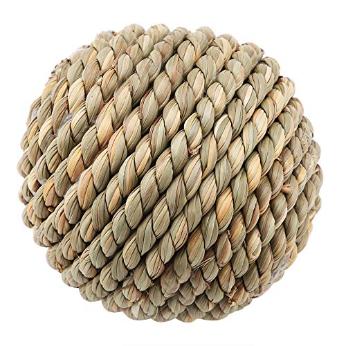 KIMISS Wilde Tetch Toy Ball für Papageien, Kaninchen und Kleine Vögel - Kauen- und Trainingsinstrument, 10 cm KIMISS Wilde Tetch Toy Ball für Papageien, Kaninchen und Kleine Vögel - Kauen- und Trainingsinstrument, 10 cm von KIMISS