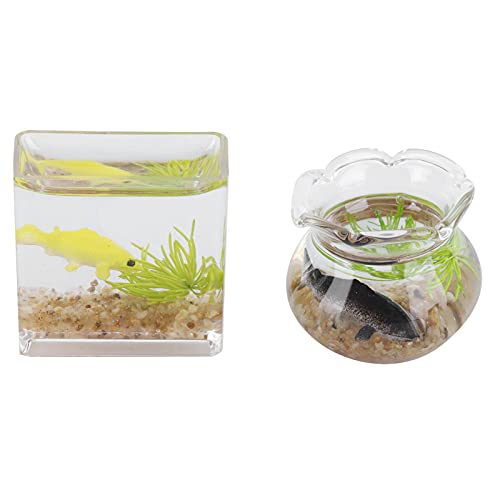 Miniaturfischschale, 2pcs 1:12 Simulationsschalen Dollhouse Bowl, Möbelzubehör -Panzer Sehr Attraktiv für Wohnzimmer Little Girl Miniaturfischschale, 2pcs 1:12 Simulationsschalen Dollhouse Bowl, Möbelzubehör -Panzer Sehr Attraktiv für Wohnzimmer Little Girl von KIMISS