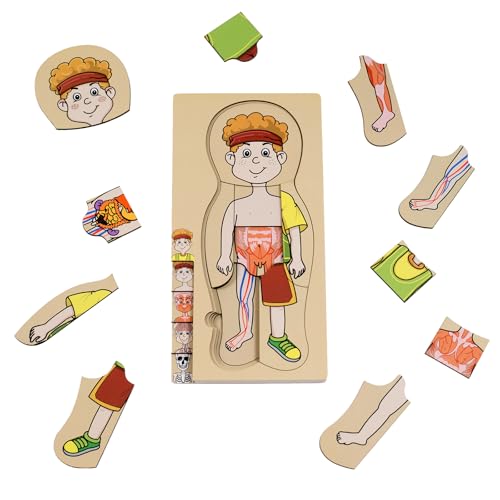 My Body Puzzle für Kleinkinder, Jungen, Cartoon von KINOKOSAY