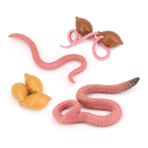 KIXZSAZ 1 Set Regenwurm Modell Lustiges Nützliches Praktisches Wachstumszyklus Spielzeug Exquisites Plastik Simulierte Requisite Für Baby Kinder Kleinkinder KIXZSAZ 1 Set Regenwurm Modell Lustiges Nützliches Praktisches Wachstumszyklus Spielzeug Exquisites Plastik Simulierte Requisite Für Baby Kinder Kleinkinder von KIXZSAZ