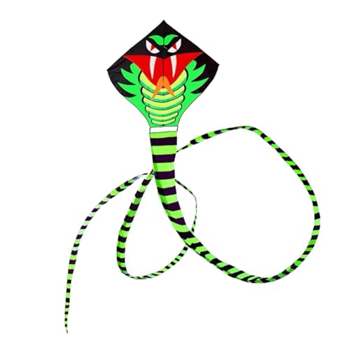 KIXZSAZ Schlangen Drachen, lustig, Outdoor, Lange Schwanzlinie, Spielzeug mit Griff, Herbst, Garten, Camping, Kinderspielzeug, Sport, guter Rasen, Park, 11M von KIXZSAZ