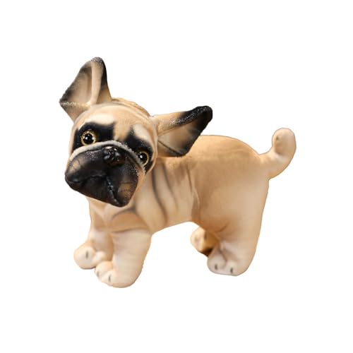 KIXZSAZ Simulation Haustier Plüschtiere Kuscheltier Puppe Waschbar Kleinkind Spielzeug Niedlich Geburtstagsfeier Freunde Geschenke Schlafzimmer Kissen, Typ 6 Stehend KIXZSAZ Simulation Haustier Plüschtiere Kuscheltier Puppe Waschbar Kleinkind Spielzeug Niedlich Geburtstagsfeier Freunde Geschenke Schlafzimmer Kissen, Typ 6 Stehend von KIXZSAZ