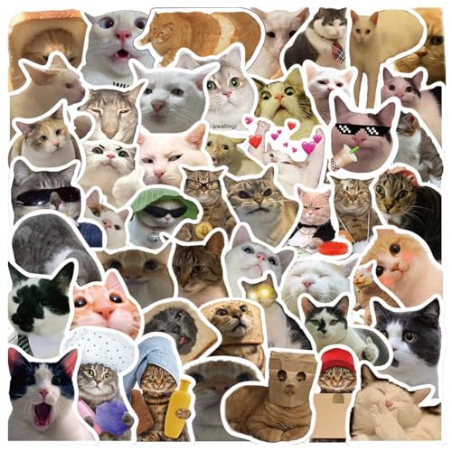 KJoet 100Pcs Lustiges Katzen Aufkleber Set, Cat Meme Aufkleber, Süße Katzen Aufkleber Wasserfeste Vinyl Aufkleber, für Jugendliche Kinder Erwachsene DIY Laptop Skateboard Fahrrad von KJoet