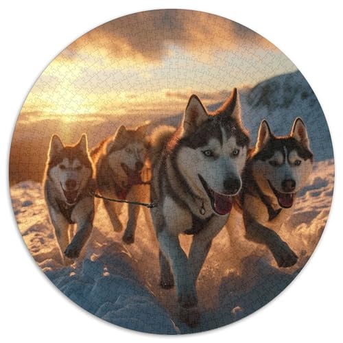Alaskan Malamute Dog Puzzles 1000 Teile Schwer Puzzle Spielzeug Pädagogisches Spiel Impossible Herausforderung Spielzeug Für Erwachsene Und Kinder in Bewährter 1000pcs (67.5x67.5cm) von KKOLASXZE