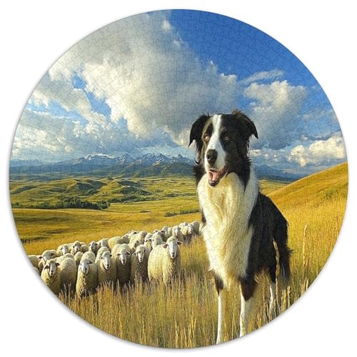 Border Collie Puzzle 1000-teilige Schwer Puzzle Spielzeug Pädagogisches Spiel Impossible Herausforderungsspielzeug Für Erwachsene Und Kinder Ab 12 Jahren 1000pcs (67.5x67.5cm) von KKOLASXZE