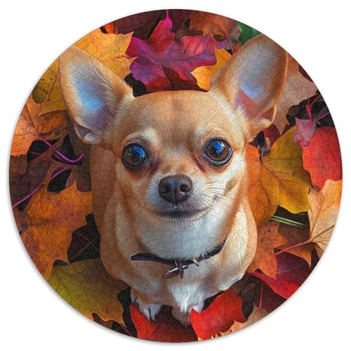 Chihuahua Puzzles 1000 Teile Schwer Puzzle Spielzeug Pädagogisches Spiel Impossible Herausforderungsspielzeug Für Erwachsene Kinder 1000pcs (67.5x67.5cm) von KKOLASXZE