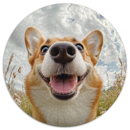 Corgi Puzzle 1000 Teile Schwer Puzzle Spielzeug Pädagogisches Spiel Impossible Herausforderung Spielzeug Für Erwachsene Kinder 1000pcs (67.5x67.5cm) von KKOLASXZE