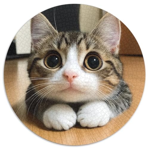 Cute Cat Puzzles 1000 Teile Schwer Puzzle Spielzeug Lernspiel Impossible Herausforderungsspielzeug Für Erwachsene Und Kinder in Bewährter 1000pcs (67.5x67.5cm) von KKOLASXZE
