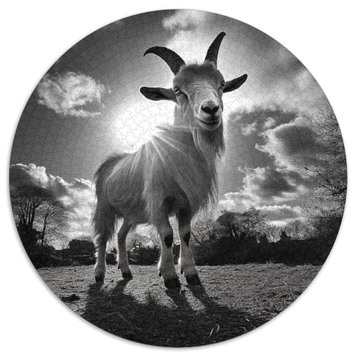 Goat Puzzle 1000 Teile Schwer Puzzle Spielzeug Lernspiel Impossible Herausforderungsspielzeug Für Erwachsene Und Kinder Ab 14 Jahren 1000pcs (67.5x67.5cm) von KKOLASXZE