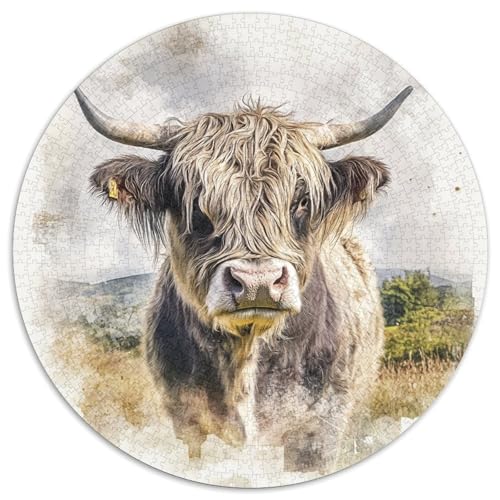 Highland Cattle Puzzle 1000-teilige Schwer Puzzle Spielzeug Lernspiel Impossible Herausforderung Spielzeug Für Erwachsene Kinder 1000pcs (67.5x67.5cm) von KKOLASXZE