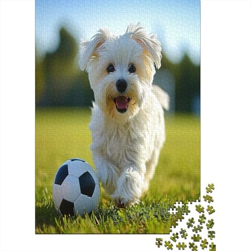 Maltese Hund Puzzle 1000 Teile Erwachsene, Puzzlespiel Jigsaw Puzzles Erwachsenen Puzzlespiel Puzzel 1000pcs (75x50cm) von KKOLASXZE