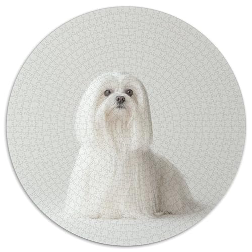 Maltese Puzzles 1000 Teile Schwer Puzzle Spielzeug Pädagogisches Spiel Impossible Herausforderungsspielzeug Für Erwachsene Kinder 1000pcs (67.5x67.5cm) von KKOLASXZE