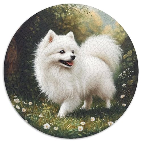 Pomeranian Puzzle 1000 Teile Schwer Puzzle Spielzeug Lernspiel Impossible Herausforderung Spielzeug Für Erwachsene Kinder 1000pcs (67.5x67.5cm) von KKOLASXZE