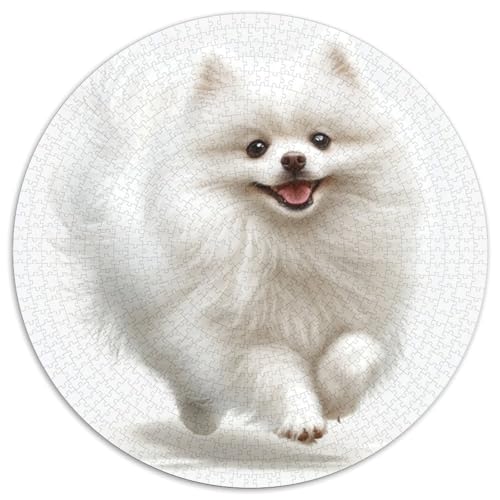 Pomeranian Puzzle 1000 Teile Schwer Puzzle Spielzeug Lernspiel Impossible Herausforderung Spielzeug Für Erwachsene Kinder 1000pcs (67.5x67.5cm) von KKOLASXZE