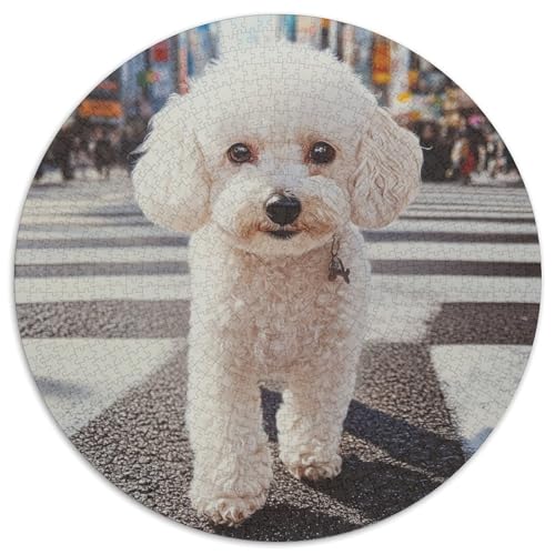Poodle Puzzle 1000-teilige Schwer Puzzle Spielzeug Pädagogisches Spiel Impossible Herausforderungsspielzeug Für Erwachsene Und Kinder in Bewährter 1000pcs (67.5x67.5cm) von KKOLASXZE