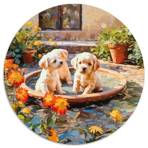 Puppies Puzzles 1000 Teile Schwer Puzzle Spielzeug Lernspiel Impossible Herausforderung Spielzeug Für Erwachsene Kinder 1000pcs (67.5x67.5cm) von KKOLASXZE