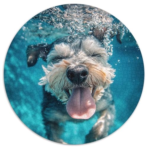 Schnauzer Puzzle 1000 Teile Schwer Puzzle Spielzeug Lernspiel Impossible Herausforderungsspielzeug Für Erwachsene Kinder 1000pcs (67.5x67.5cm) von KKOLASXZE