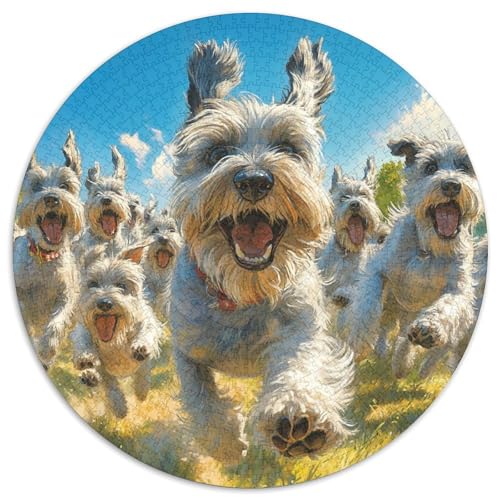 Schnauzer Puzzles 1000 Teile Schwer Puzzle Spielzeug Lernspiel Impossible Herausforderungsspielzeug Für Erwachsene Und Kinder Ab 14 Jahren 1000pcs (67.5x67.5cm) von KKOLASXZE