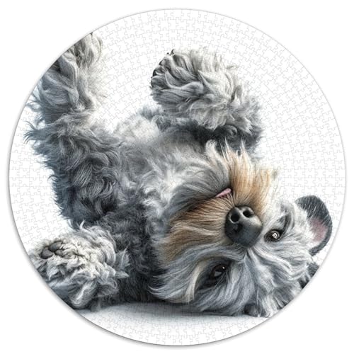 Schnauzer Puzzles 1000 Teile Schwer Puzzle Spielzeug Lernspiel Impossible Herausforderungsspielzeug Für Erwachsene Und Kinder Ab 14 Jahren 1000pcs (67.5x67.5cm) von KKOLASXZE