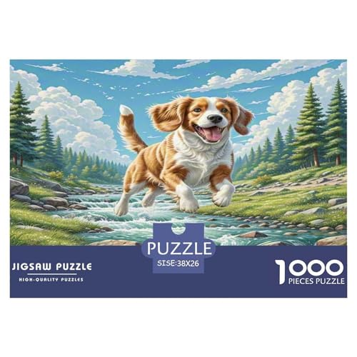 Welischer Springer Spaniel Puzzle 1000-teilige Schwer Puzzle Spielzeug Pädagogisches Spiel Impossible Herausforderung Spielzeug Für Erwachsene Und Kinder Ab 12 Jahren 38x26cm/1000pcs Welischer Springer Spaniel Puzzle 1000-teilige Schwer Puzzle Spielzeug Pädagogisches Spiel Impossible Herausforderung Spielzeug Für Erwachsene Und Kinder Ab 12 Jahren 38x26cm/1000pcs von KKOLASXZE