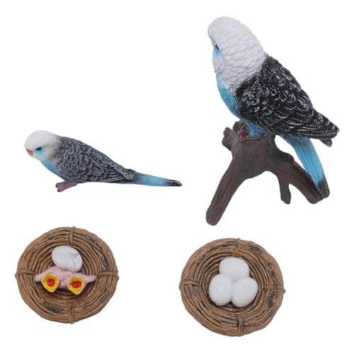 4 PCs Budegerigar -Wachstumszyklus Spielzeug PVC Budgie Figur Pädagogischer Tier Lebenszyklusspielzeug für Kinder 4 PCs Budegerigar -Wachstumszyklus Spielzeug PVC Budgie Figur Pädagogischer Tier Lebenszyklusspielzeug für Kinder von KKPLZZ
