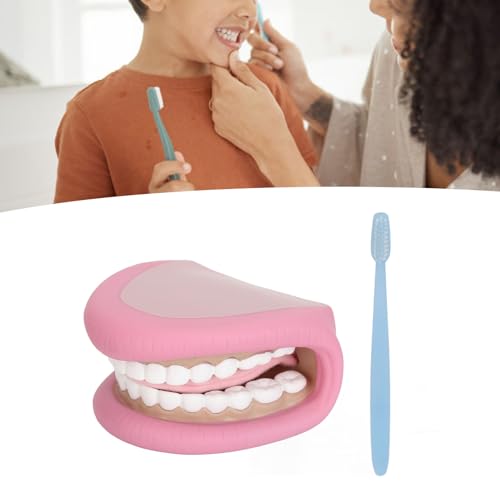 Kinder Große Mundpuppe 28 Zähne Zunge Mund Handpuppe mit Zahnbürste zur Sprachverbesserung von KKPLZZ