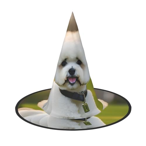 KLJnmbb Hexenhut Bichon Frisé-Hund auf dem Gras, Unisex, Halloween-Hexenhut, Erwachsene und Teenager, Kappe, Partys, Karneval, Kostüme, Mützen KLJnmbb Hexenhut Bichon Frisé-Hund auf dem Gras, Unisex, Halloween-Hexenhut, Erwachsene und Teenager, Kappe, Partys, Karneval, Kostüme, Mützen von KLJnmbb