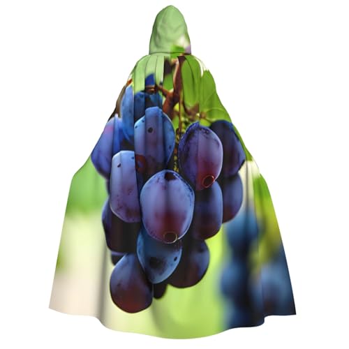 KLJnmbb Umhang mit Kapuze und Traubendruck, Cosplay, Erwachsene, Halloween, Weihnachten, Karneval, Themenpartys, vielseitig einsetzbar KLJnmbb Umhang mit Kapuze und Traubendruck, Cosplay, Erwachsene, Halloween, Weihnachten, Karneval, Themenpartys, vielseitig einsetzbar von KLJnmbb