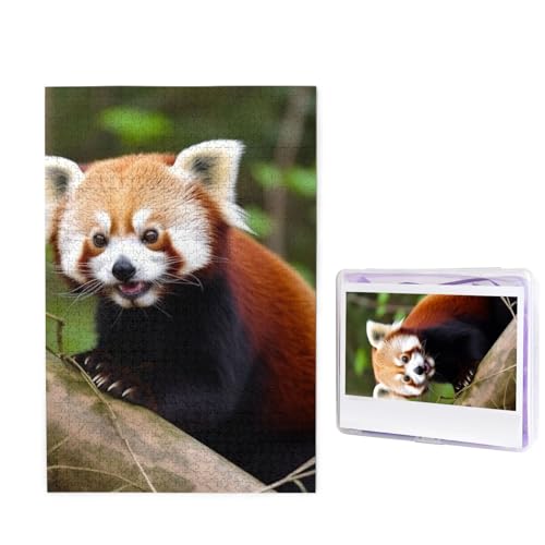1000-teiliges Puzzle für Erwachsene, herausforderndes Holzpuzzle, kleiner roter Panda, Fotopuzzle, individuelles Bilderpuzzle für Erwachsene und Kinder, Familienspielabende, 50 x 49,5 cm Puzzle von KLOPH
