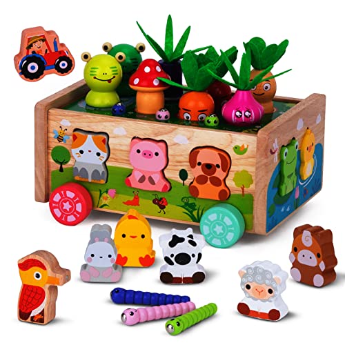 Montessori Spielzeug ab 1 2 3 Jahr | Karotten Steckspiel Holz | Montessori Geschenk Mädchen Jungen | Kinder Holzspielzeug Motorikspielzeug ab 1 Jahr von KMTJT