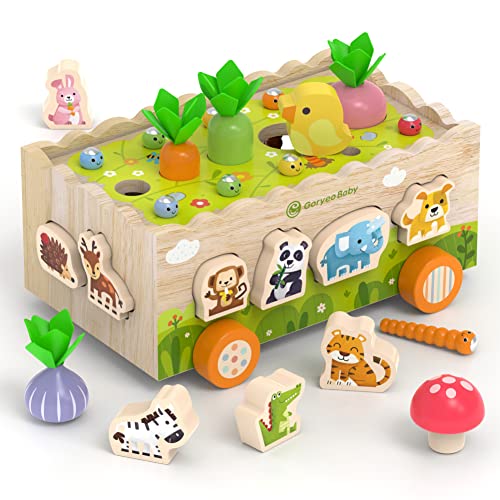 Montessori Holzspielzeug ab 1 2 3 Jahr | Baby Motorik Spielzeug für 12 18 Monate Jungen und Mädchen | Sortierspiel Holzpuzzle Karottenernte | Lernspielzeug für Kinder als Geschenk von KMTJT