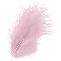 BRUNNEN 216619215 KNORR prandell Marabufedern | 100 mm, zartrosa, 15 Stück BRUNNEN 216619215 KNORR prandell Marabufedern | 100 mm, zartrosa, 15 Stück von KNORR PRANDELL