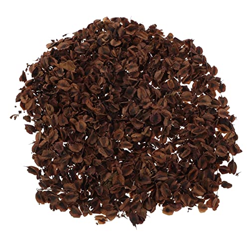 KOCKSHION Simulation Blatt Miniatur Modell Bäume 80ml Tasche Von Feine Verarbeitung Mini Blatt Landschaft von KOCKSHION