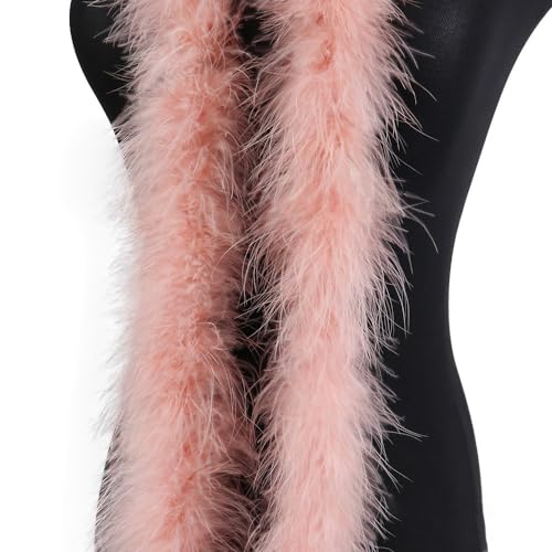 2m 8cm Federboa Truthahn Federn Boa,Flauschige Plüsch Federboa Feder Stola Federschal Federgirlande für Weihnachtsbaum, Hochzeit, Basteln, Burlesque, Karneval Party, 20er Jahre Kostüm Dekoration 2m 8cm Federboa Truthahn Federn Boa,Flauschige Plüsch Federboa Feder Stola Federschal Federgirlande für Weihnachtsbaum, Hochzeit, Basteln, Burlesque, Karneval Party, 20er Jahre Kostüm Dekoration von KOGMMYSEVP