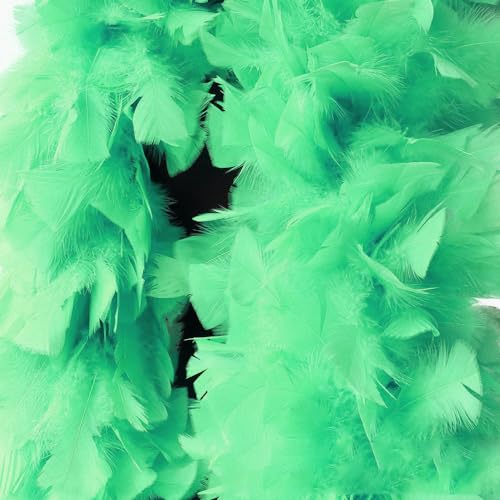 Federboa Unisex Boa für Kostümzubehör, Länge ca. 180 cm, Kostüm- und Bastelzubehör, Federschal für Hochzeit, Karneval, Halloween, Cosplay, Weihnachten, Bühnenshows, Kostüm Federboa Unisex Boa für Kostümzubehör, Länge ca. 180 cm, Kostüm- und Bastelzubehör, Federschal für Hochzeit, Karneval, Halloween, Cosplay, Weihnachten, Bühnenshows, Kostüm von KOGMMYSEVP