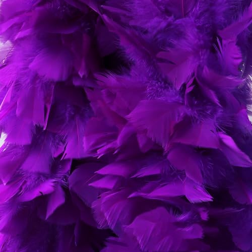 Federboa Unisex Boa für Kostümzubehör, Länge ca. 180 cm, Kostüm- und Bastelzubehör, Federschal für Hochzeit, Karneval, Halloween, Cosplay, Weihnachten, Bühnenshows, Kostüm Federboa Unisex Boa für Kostümzubehör, Länge ca. 180 cm, Kostüm- und Bastelzubehör, Federschal für Hochzeit, Karneval, Halloween, Cosplay, Weihnachten, Bühnenshows, Kostüm von KOGMMYSEVP