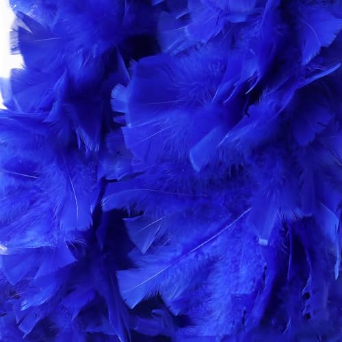 Federboa Unisex Boa für Kostümzubehör, Länge ca. 180 cm, Kostüm- und Bastelzubehör, Federschal für Hochzeit, Karneval, Halloween, Cosplay, Weihnachten, Bühnenshows, Kostüm Federboa Unisex Boa für Kostümzubehör, Länge ca. 180 cm, Kostüm- und Bastelzubehör, Federschal für Hochzeit, Karneval, Halloween, Cosplay, Weihnachten, Bühnenshows, Kostüm von KOGMMYSEVP