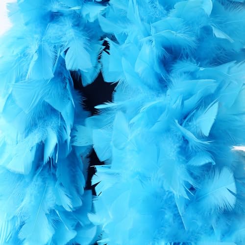 Federboa Unisex Boa für Kostümzubehör, Länge ca. 180 cm, Kostüm- und Bastelzubehör, Federschal für Hochzeit, Karneval, Halloween, Cosplay, Weihnachten, Bühnenshows, Kostüm Federboa Unisex Boa für Kostümzubehör, Länge ca. 180 cm, Kostüm- und Bastelzubehör, Federschal für Hochzeit, Karneval, Halloween, Cosplay, Weihnachten, Bühnenshows, Kostüm von KOGMMYSEVP