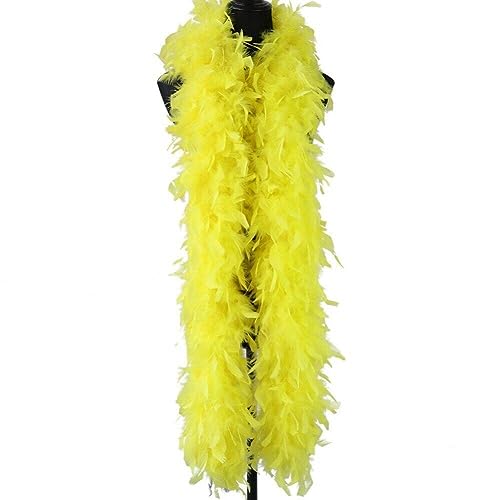 Federn, Boa, Tanzen, Hochzeit, Basteln, Party, Verkleidung, Halloween, Kostüm, Dekoration, 2 Meter Federn, Boa, Tanzen, Hochzeit, Basteln, Party, Verkleidung, Halloween, Kostüm, Dekoration, 2 Meter von KOGMMYSEVP