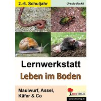 Lernwerkstatt Leben im Boden von KOHL VERLAG Der Verlag mit dem Baum