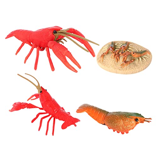 KOMBIUDA 1 Satz Hummer Wachstums Zyklus Krebse Spielzeug Lustige Spielzeuge Zum Wachsen Von Krebsen Krebse Figur Zyklus Biologische Figur Puzzle-Spielzeug Lebenszyklusfiguren Rot Plastik KOMBIUDA 1 Satz Hummer Wachstums Zyklus Krebse Spielzeug Lustige Spielzeuge Zum Wachsen Von Krebsen Krebse Figur Zyklus Biologische Figur Puzzle-Spielzeug Lebenszyklusfiguren Rot Plastik von KOMBIUDA