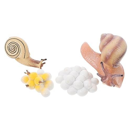 KOMBIUDA 1 Satz Wachstumszyklus Toys The Edith Eger The Children + SIM Bildungsbedarf Schnecken Figur schmuck frühes Lernmodell tierisches Wachstumsmodell Plastik KOMBIUDA 1 Satz Wachstumszyklus Toys The Edith Eger The Children + SIM Bildungsbedarf Schnecken Figur schmuck frühes Lernmodell tierisches Wachstumsmodell Plastik von KOMBIUDA