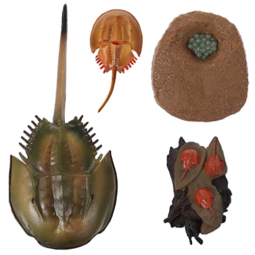 KOMBIUDA 1 Set Kognitives Modell des Lebens Froschspielzeug Biologie Wissenschaft Modellspielzeug Meerestiere Figuren Pfeilschwanzkrebs Modellzyklus Tierfiguren Minispielzeug Das Tier Aus KOMBIUDA 1 Set Kognitives Modell des Lebens Froschspielzeug Biologie Wissenschaft Modellspielzeug Meerestiere Figuren Pfeilschwanzkrebs Modellzyklus Tierfiguren Minispielzeug Das Tier Aus von KOMBIUDA