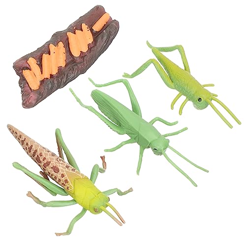 KOMBIUDA 1 Set Wachstumszyklusmodelle Kinderspielzeug Lernspielzeug Tierlebenszyklus Tiere Modell Tier Kognitives Modell Tierfiguren Tierzyklus Grünes PVC KOMBIUDA 1 Set Wachstumszyklusmodelle Kinderspielzeug Lernspielzeug Tierlebenszyklus Tiere Modell Tier Kognitives Modell Tierfiguren Tierzyklus Grünes PVC von KOMBIUDA