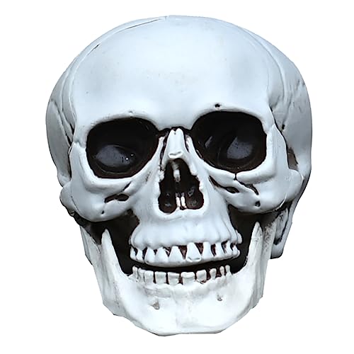 KOMBIUDA 1 Stück -Ornamente Halloween Dekoration Halloween-Dekoration Skelett-Halloween Halloween-Schädel-Zubehör klein Plastikschädel Halloween-Schädel-Stütze Weiß KOMBIUDA 1 Stück -Ornamente Halloween Dekoration Halloween-Dekoration Skelett-Halloween Halloween-Schädel-Zubehör klein Plastikschädel Halloween-Schädel-Stütze Weiß von KOMBIUDA