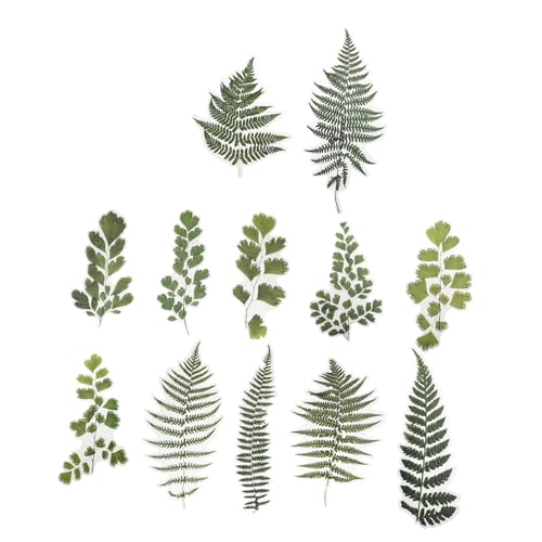 KOMBIUDA 12 Blätter Aufkleber Scrapbook scheckheft dekoringe stickbilder DIY Dekoration bescherung plantafel notizbuch schenken scrabook scrapbbok Tagebuch Etiketten das Haustier Green von KOMBIUDA