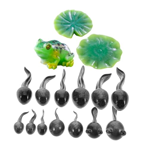 KOMBIUDA 16 Stück Mini Frosch Figuren Teiliges Harz Deko für Feengärten Mooslandschaften Terrarien Realistische Miniatur Frösche für DIY Garten Dekoration KOMBIUDA 16 Stück Mini Frosch Figuren Teiliges Harz Deko für Feengärten Mooslandschaften Terrarien Realistische Miniatur Frösche für DIY Garten Dekoration von KOMBIUDA