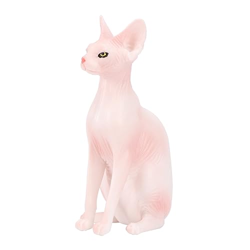 KOMBIUDA 1Stück Simulation Katzenspielzeug Für Realistisches Haarloses Katzenmodell Aus Hochwertigem Langlebig Und Lernspielzeug Oder Dekoration KOMBIUDA 1Stück Simulation Katzenspielzeug Für Realistisches Haarloses Katzenmodell Aus Hochwertigem Langlebig Und Lernspielzeug Oder Dekoration von KOMBIUDA